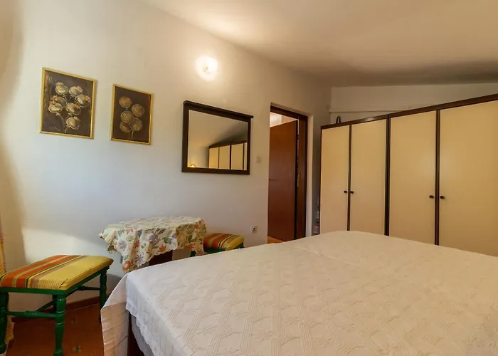 Seneca יאדראנובו