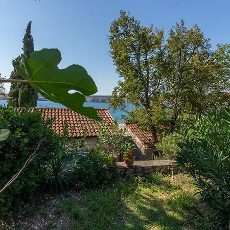 アパート Seneca ヤドラニヴォ