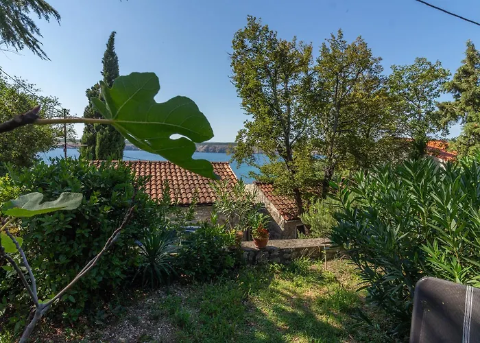 Apartament Seneca Jadranovo